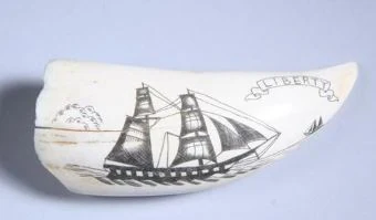 SCRIMSHAW DECORATED WHALE TOOTH